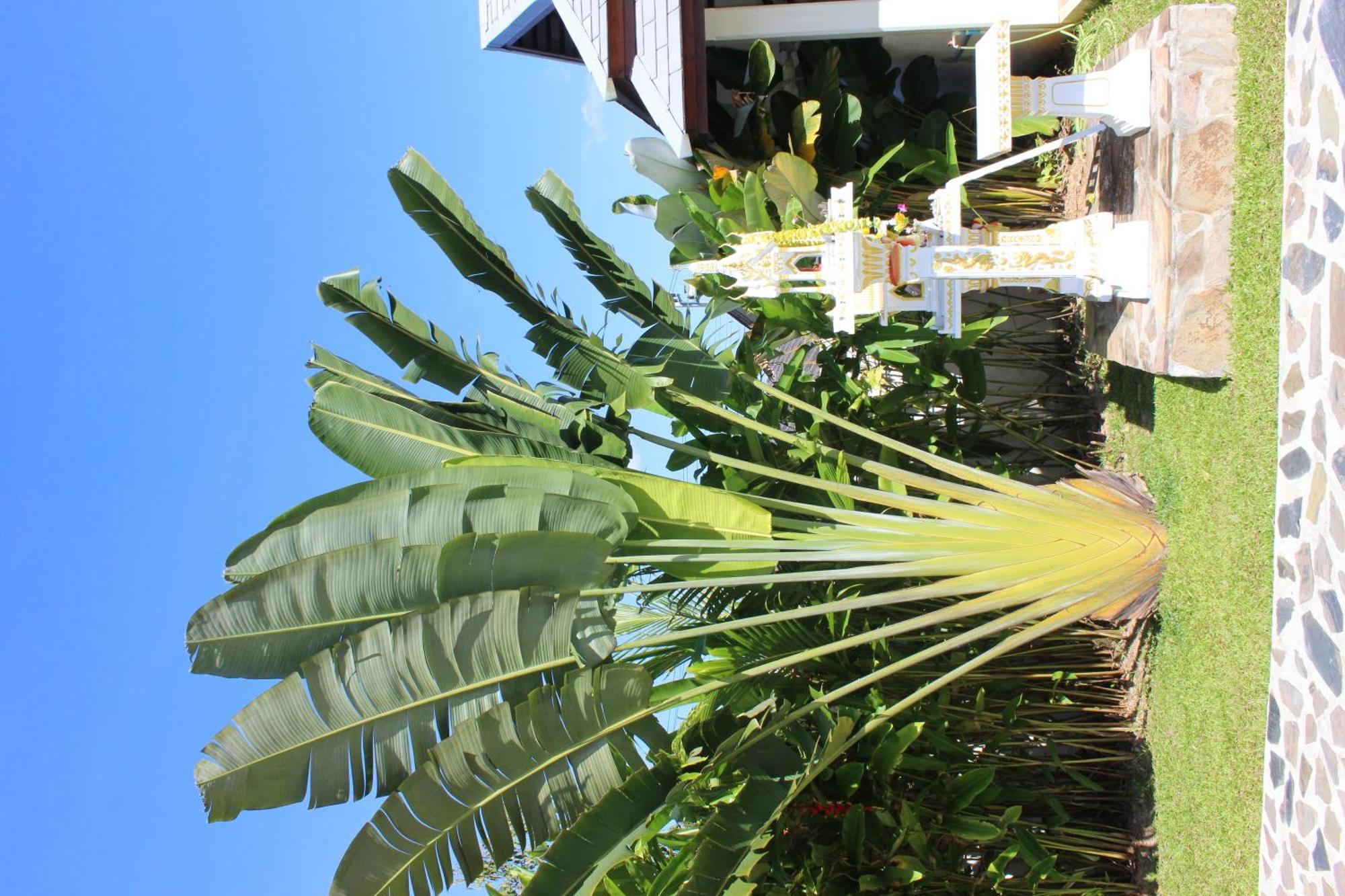 Villa Colina Khao Lak Rooms And Bungalows - Adults Only Bagian luar foto